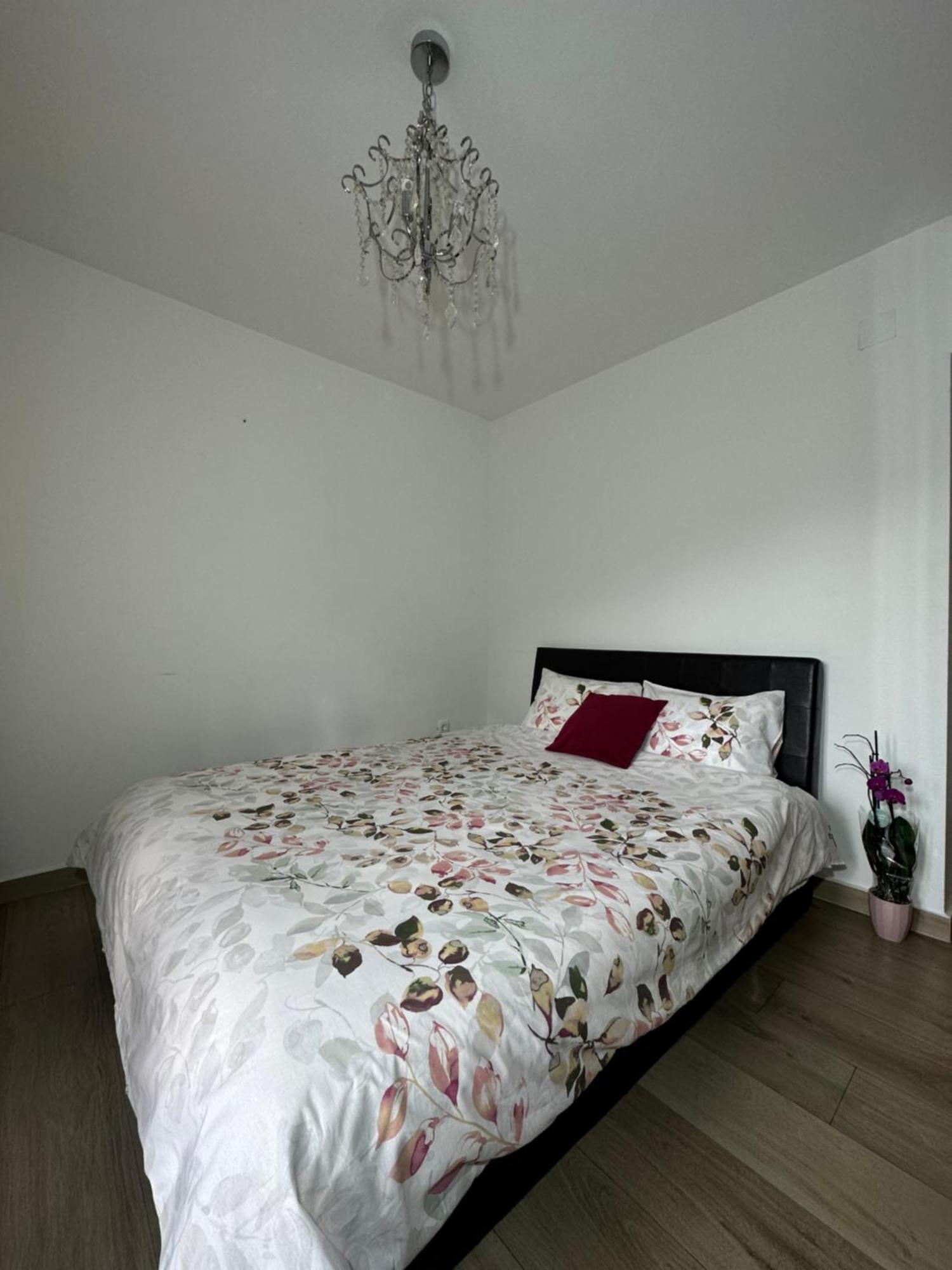 Apartmani Simona بودفا المظهر الخارجي الصورة